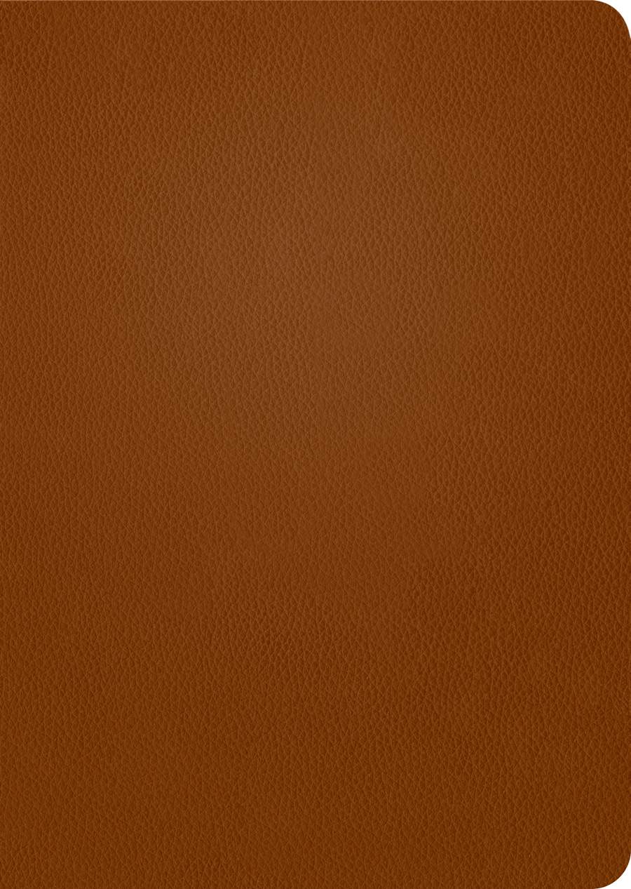 KJV Life Application Study Bible, Third Edition