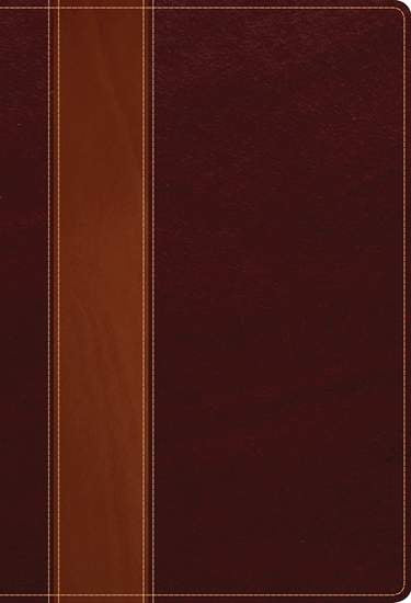 The Swindoll Study Bible NLT, Large Print