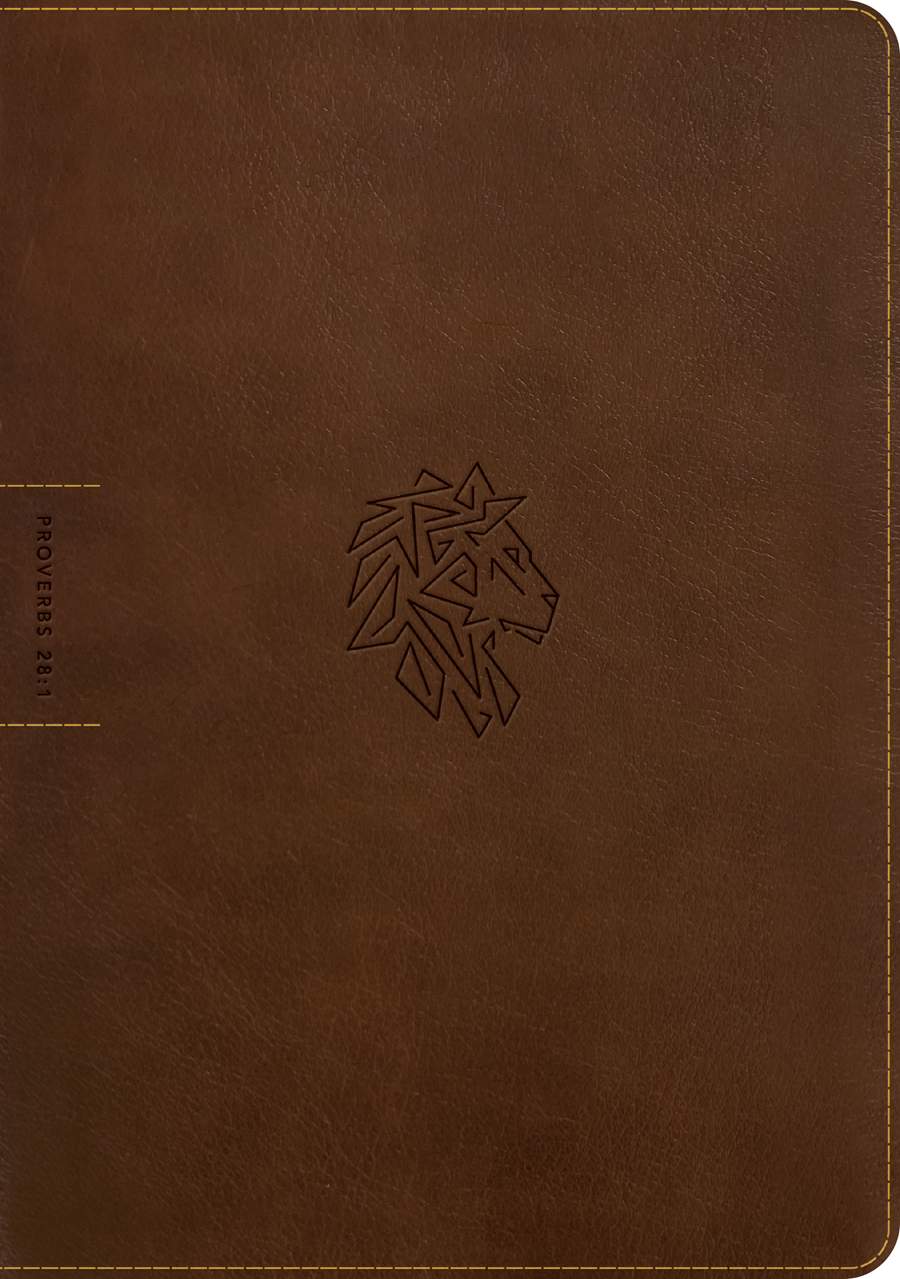 NLT Courage For Life Study Bible for Men, Filament Enabled