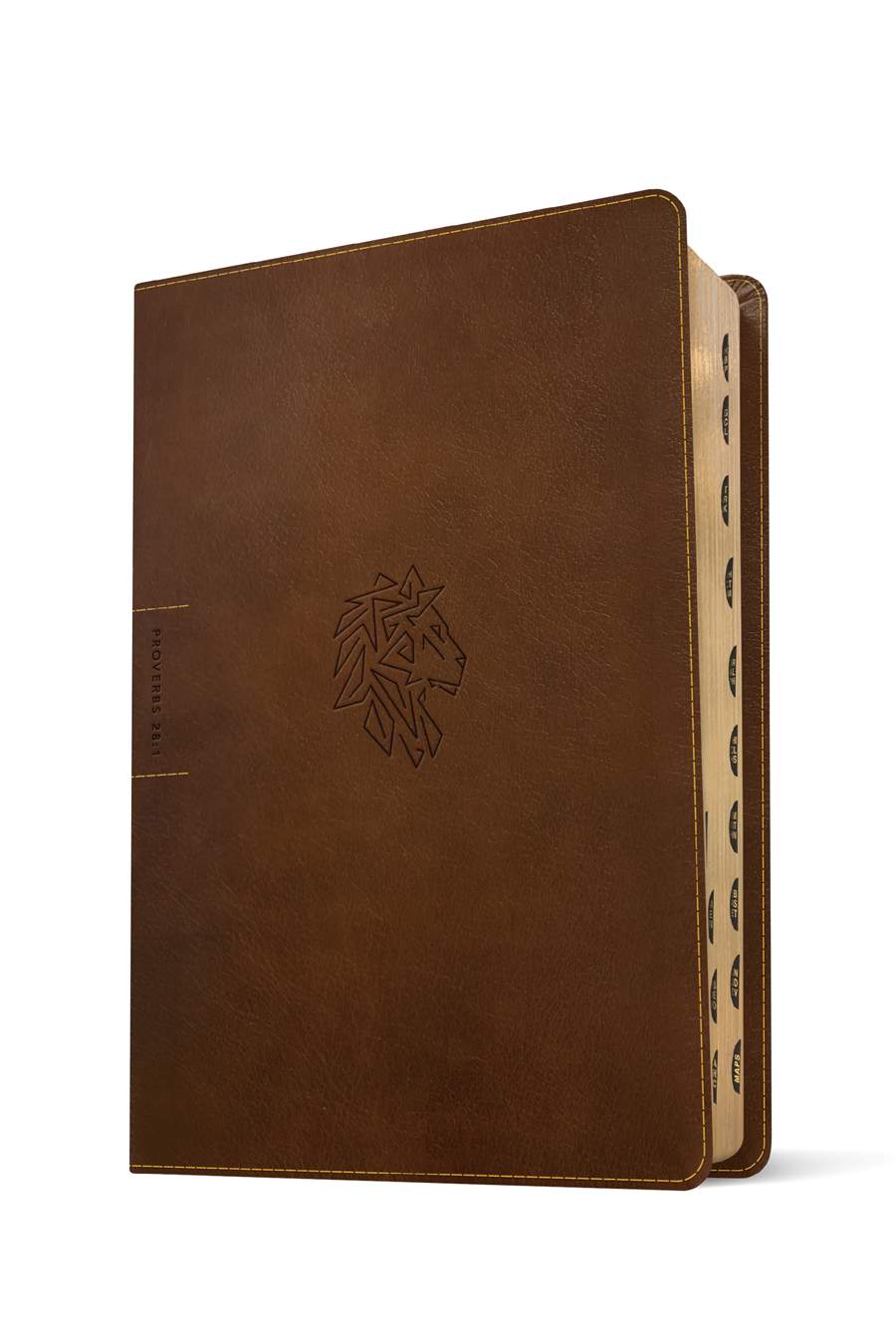 NLT Courage For Life Study Bible for Men, Filament Enabled