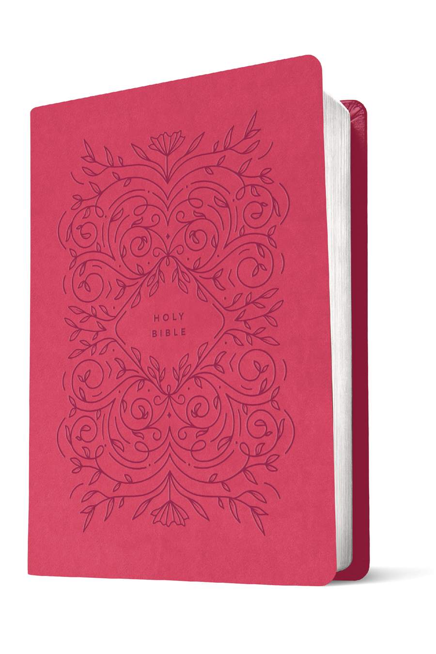 Premium Gift Bible NLT, Filament Enabled