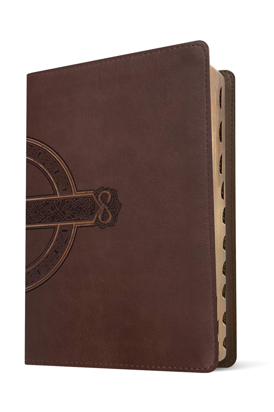 NLT Compact Giant Print Bible, Filament Enabled