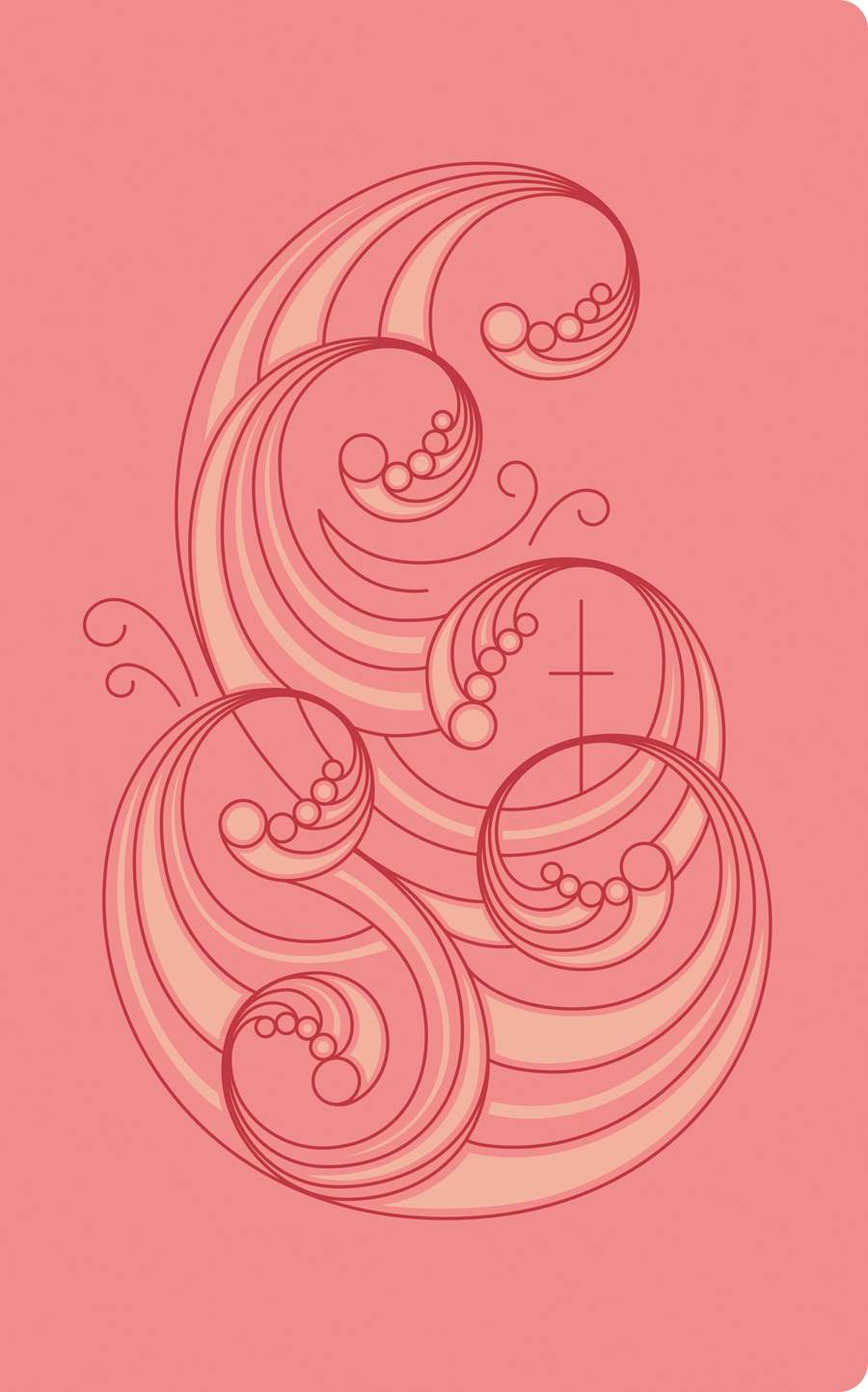 The Message Deluxe Gift Bible