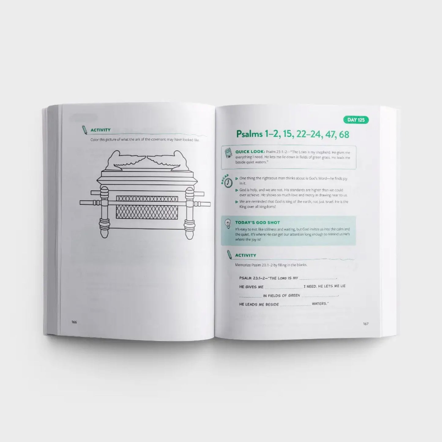 Bethany House - The Bible Recap Kid's Devotional: 365 Reflections and Activities for Kids and Families