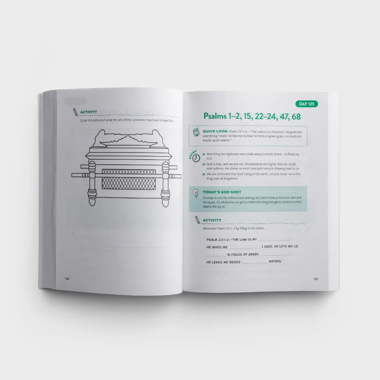 Bethany House - The Bible Recap Kid's Devotional: 365 Reflections and Activities for Kids and Families