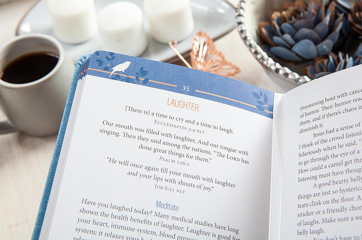 He Calls Me His Child: 100 Days of Meditations on the Promises of God