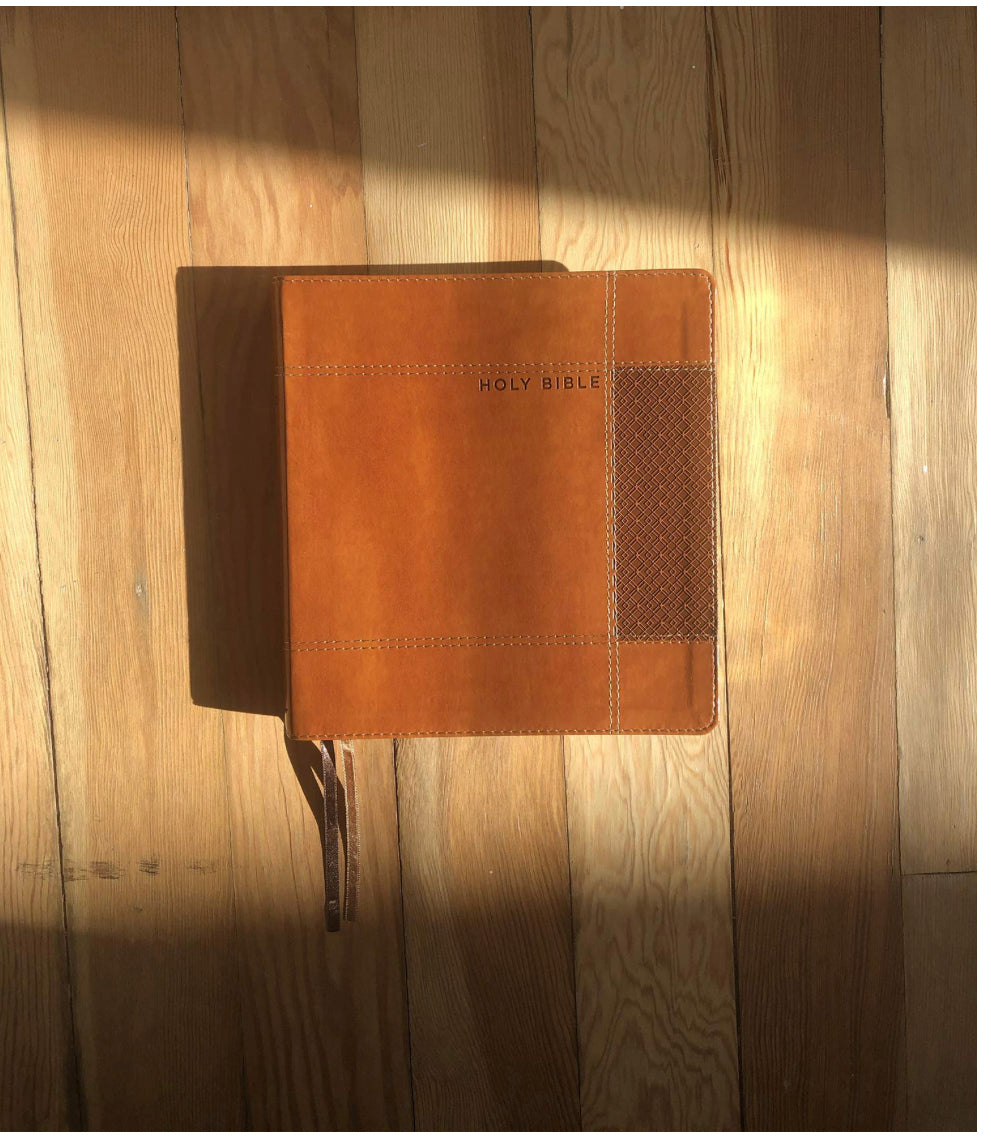 NIV, Holy Bible, XL Edition, Leathersoft, Brown, Comfort Print