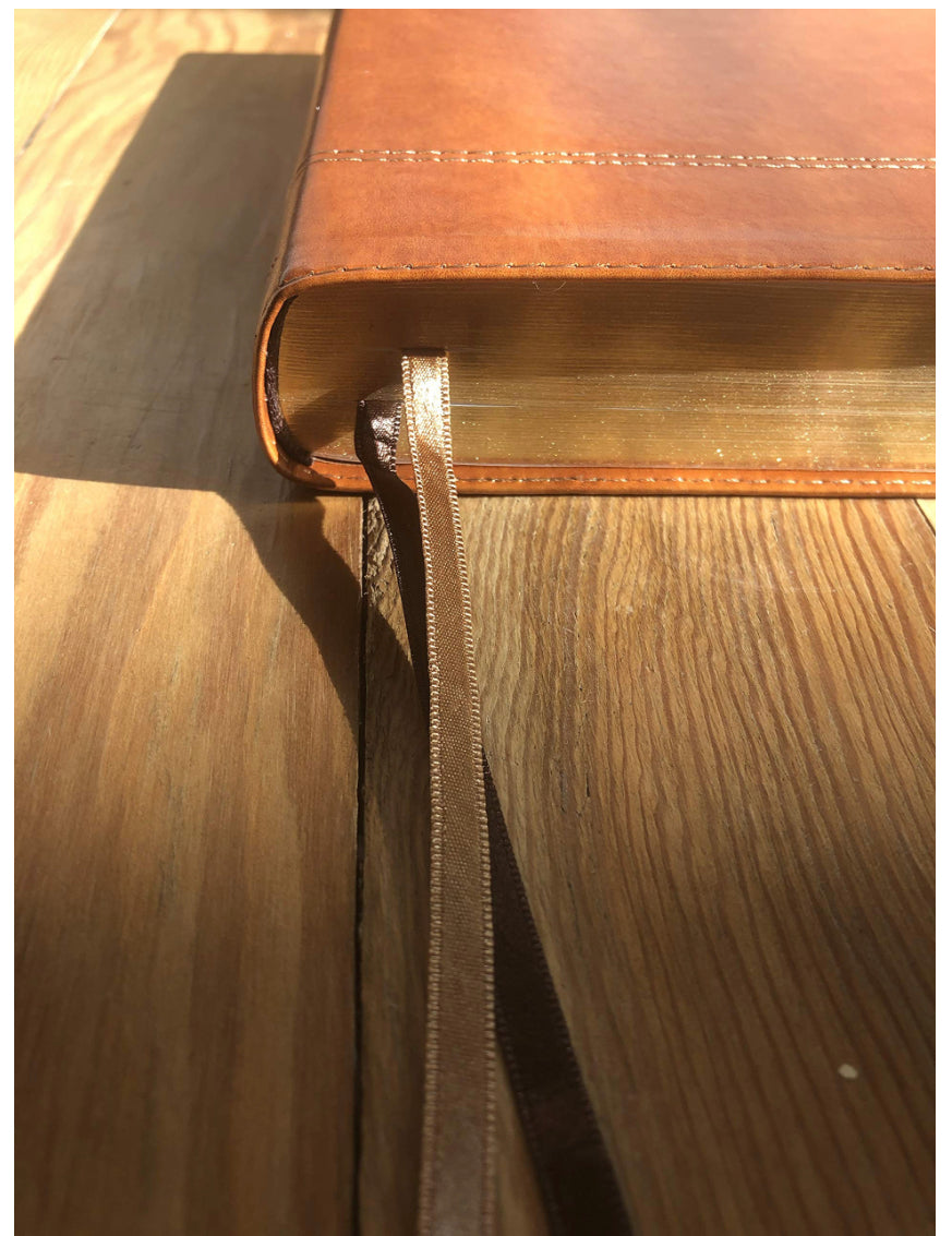 NIV, Holy Bible, XL Edition, Leathersoft, Brown, Comfort Print