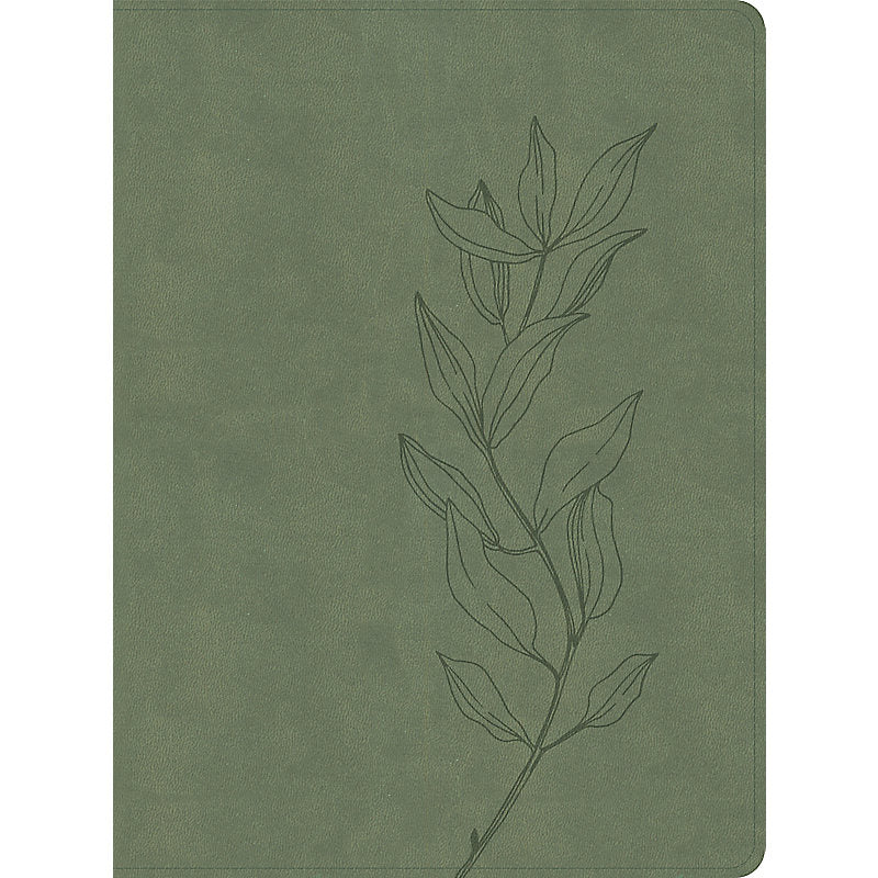 CSB Lifeway Women's Bible, Sage LeatherTouch