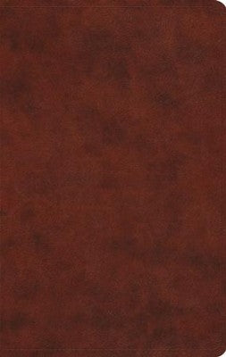 ESV Large Print Value Thinline Bible (TruTone, Chestnut), Leather, imitation, Brown