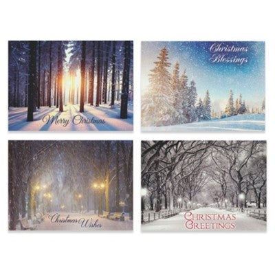 Beauty of the Season Christmas Cards, Box of 12