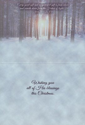 Beauty of the Season Christmas Cards, Box of 12