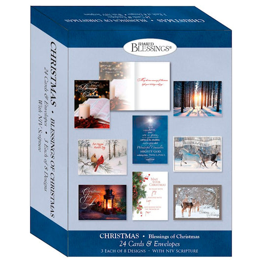 Shared Blessings-Christmas-Blessings Of Christmas/Large Assorted (Box Of 24)