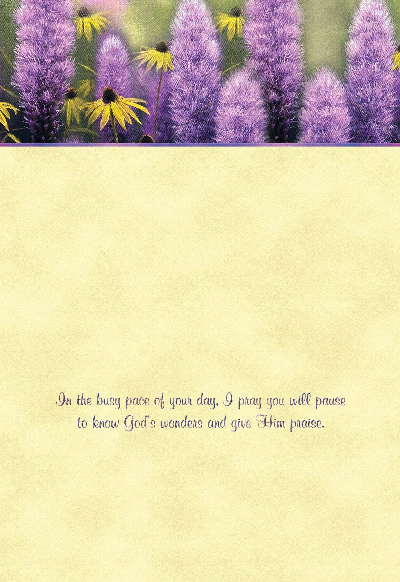 Crown Point Graphics - Hummingbirds - Box of 12 Assorted Encouragement Cards by Shared Blessings