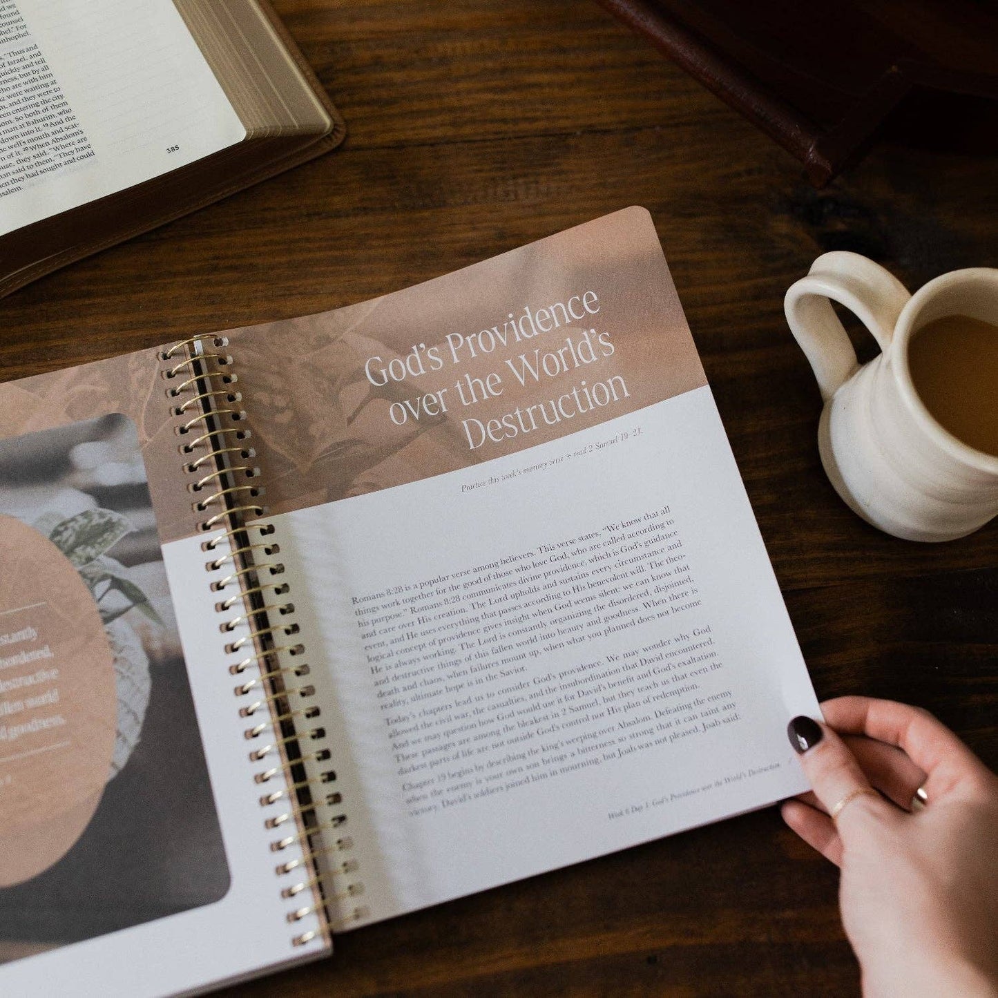 The Daily Grace Co - Peaks and Valleys: Learning to Look to Christ in Life's Highs and Lows | A Study on the Life of David