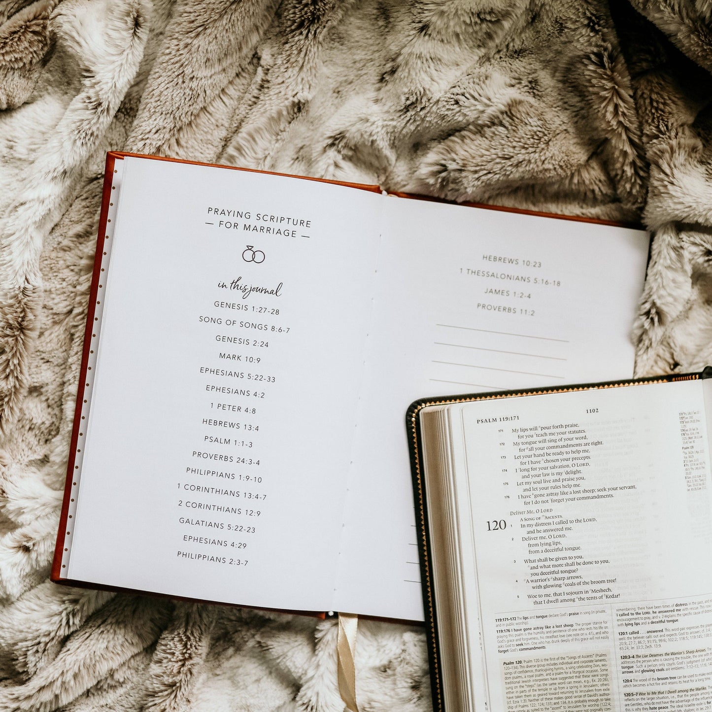 The Daily Grace Co - Praying Scripture for Marriage Journal