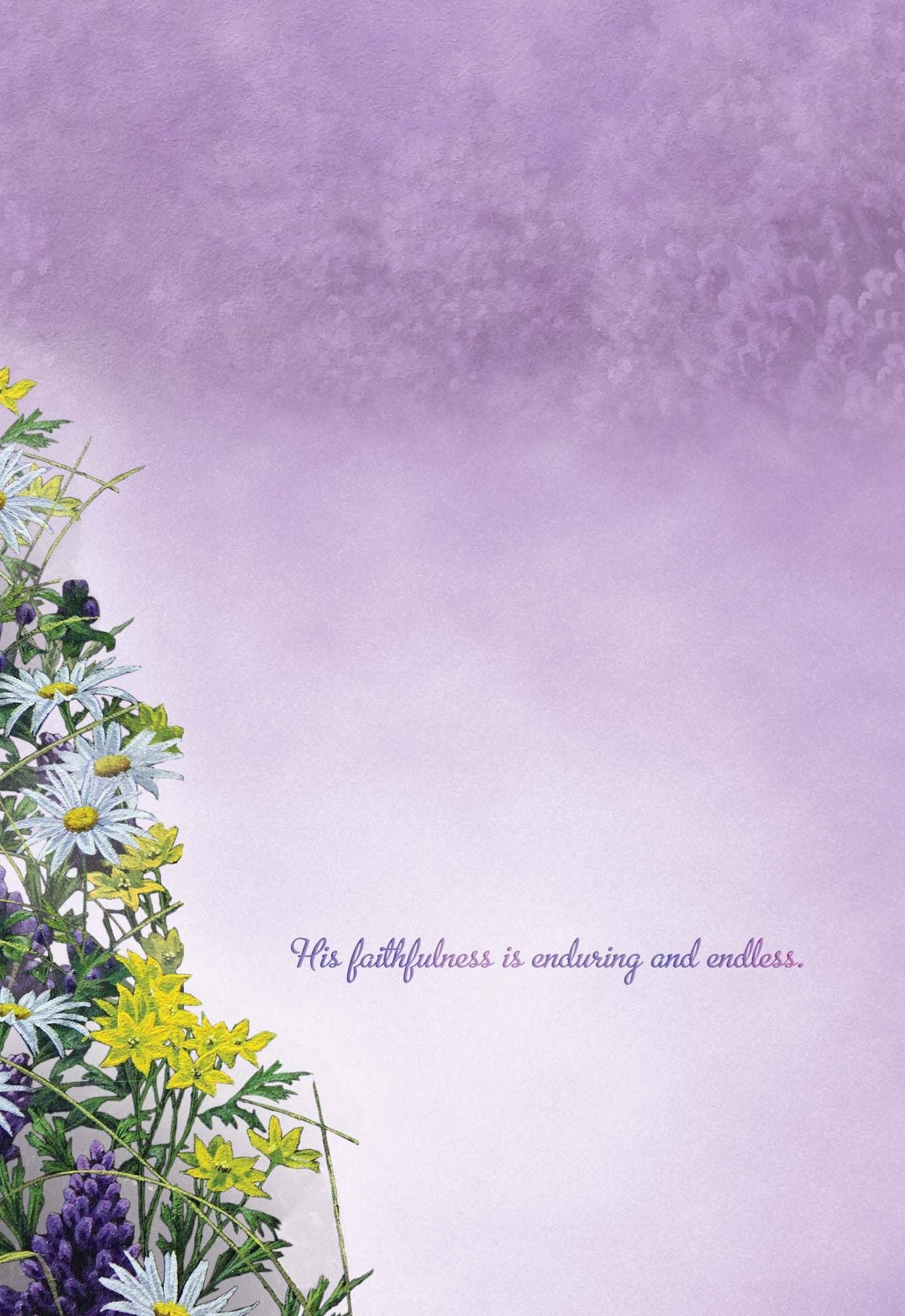 Crown Point Graphics - Hummingbirds - Box of 12 Assorted Encouragement Cards by Shared Blessings