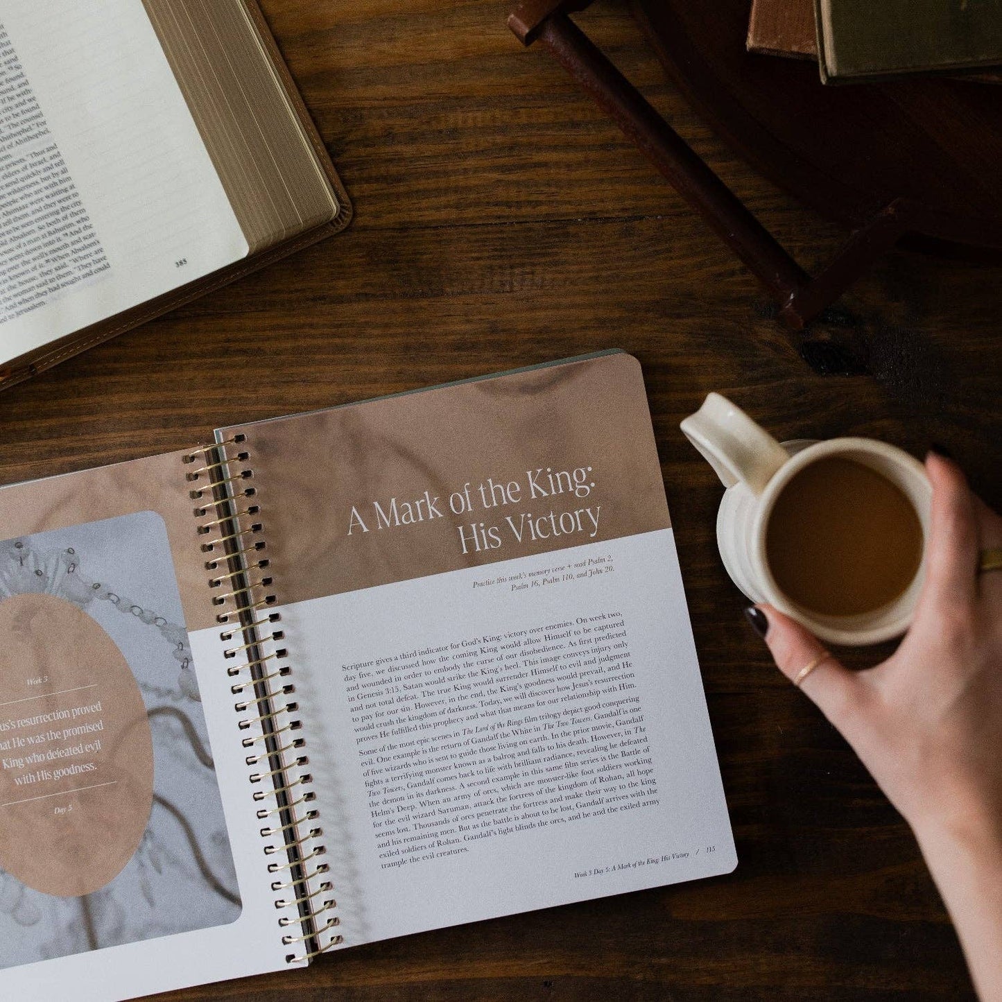 The Daily Grace Co - Peaks and Valleys: Learning to Look to Christ in Life's Highs and Lows | A Study on the Life of David