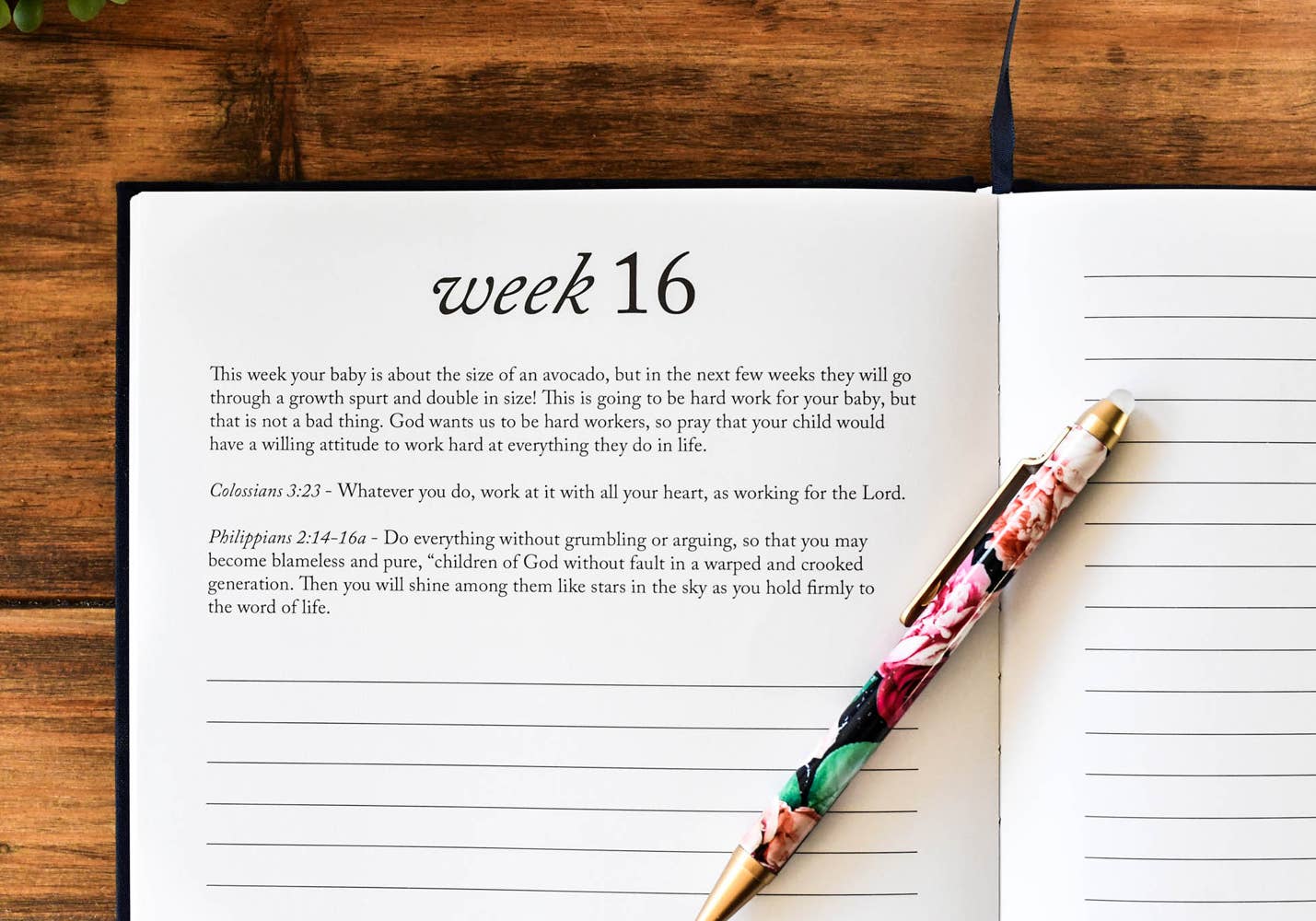 Duncan & Stone Paper Co. - Dear Baby: A Pregnancy Prayer Journal & Memory Book for Moms
