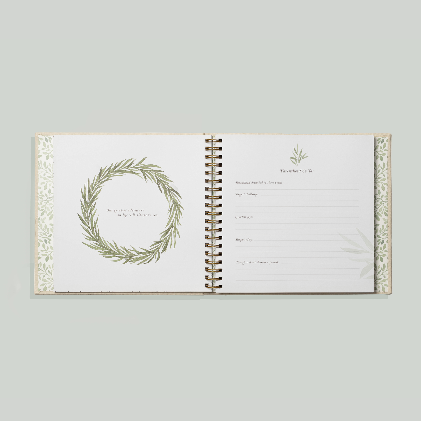Paige Tate & Co. - As You Grow: A Modern Memory Book for Baby (Baby Shower)