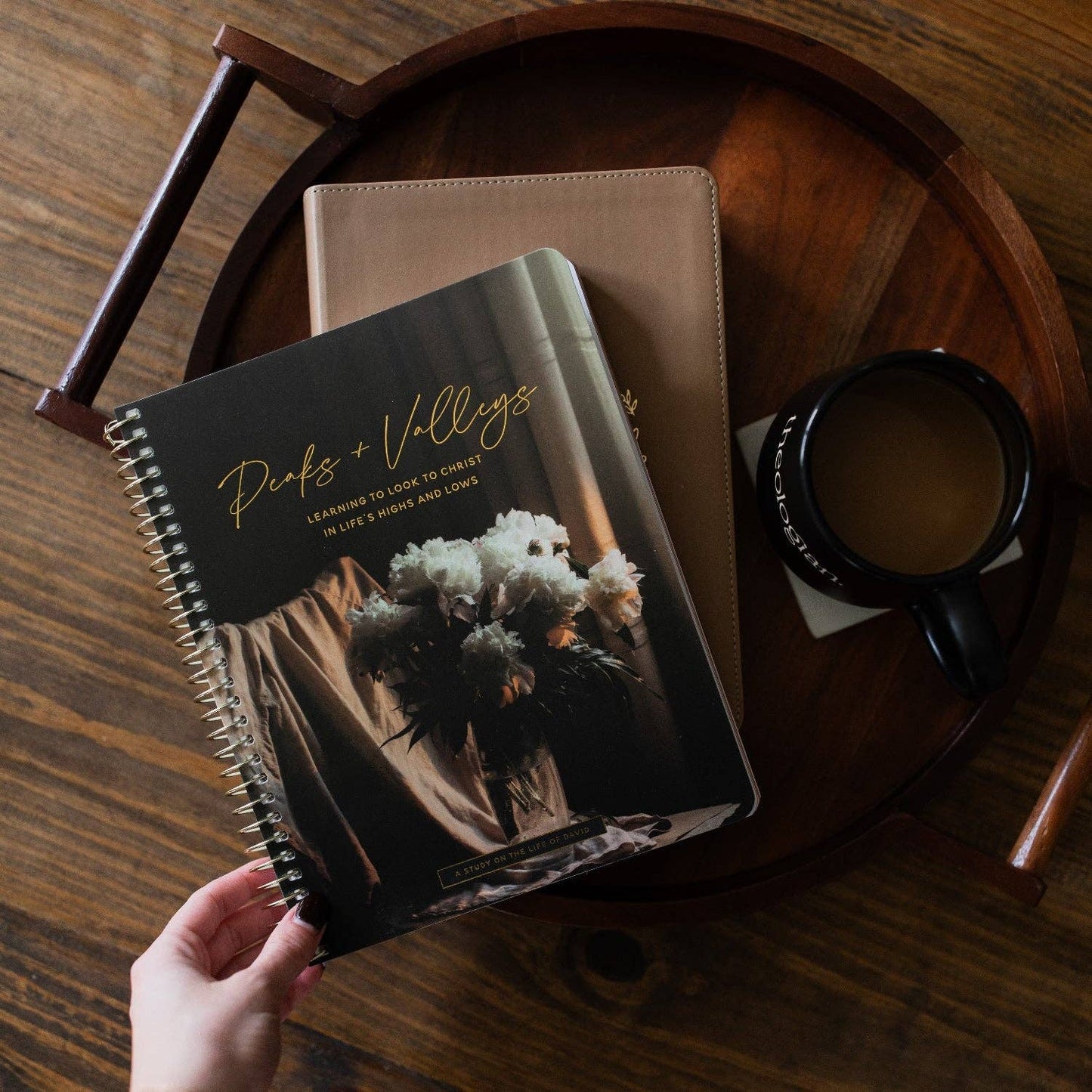 The Daily Grace Co - Peaks and Valleys: Learning to Look to Christ in Life's Highs and Lows | A Study on the Life of David