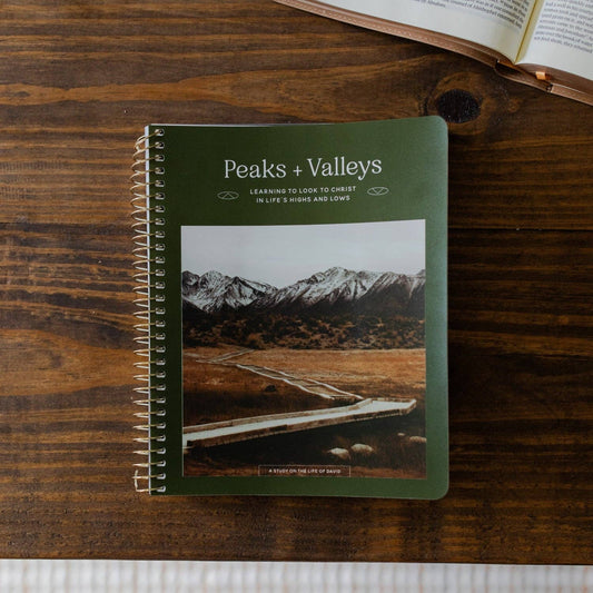 The Daily Grace Co - Peaks and Valleys: Learning to Look to Christ in Life's Highs and Lows | A Study on the Life of David - Men