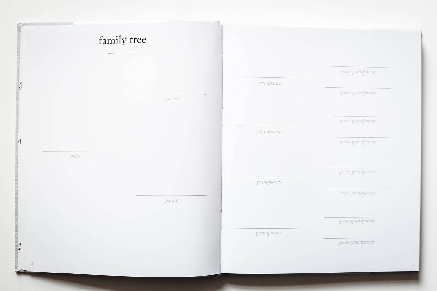 Duncan & Stone Paper Co. - Baby's First Year Memory Book & Photo Album | Mother's Day