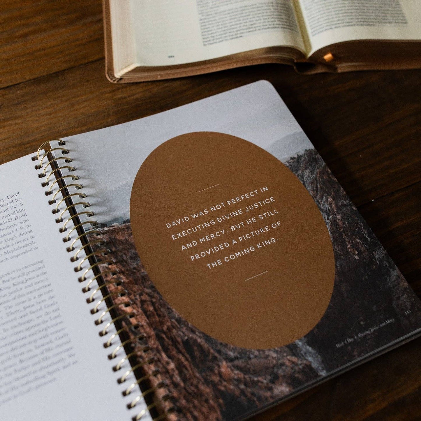 The Daily Grace Co - Peaks and Valleys: Learning to Look to Christ in Life's Highs and Lows | A Study on the Life of David - Men