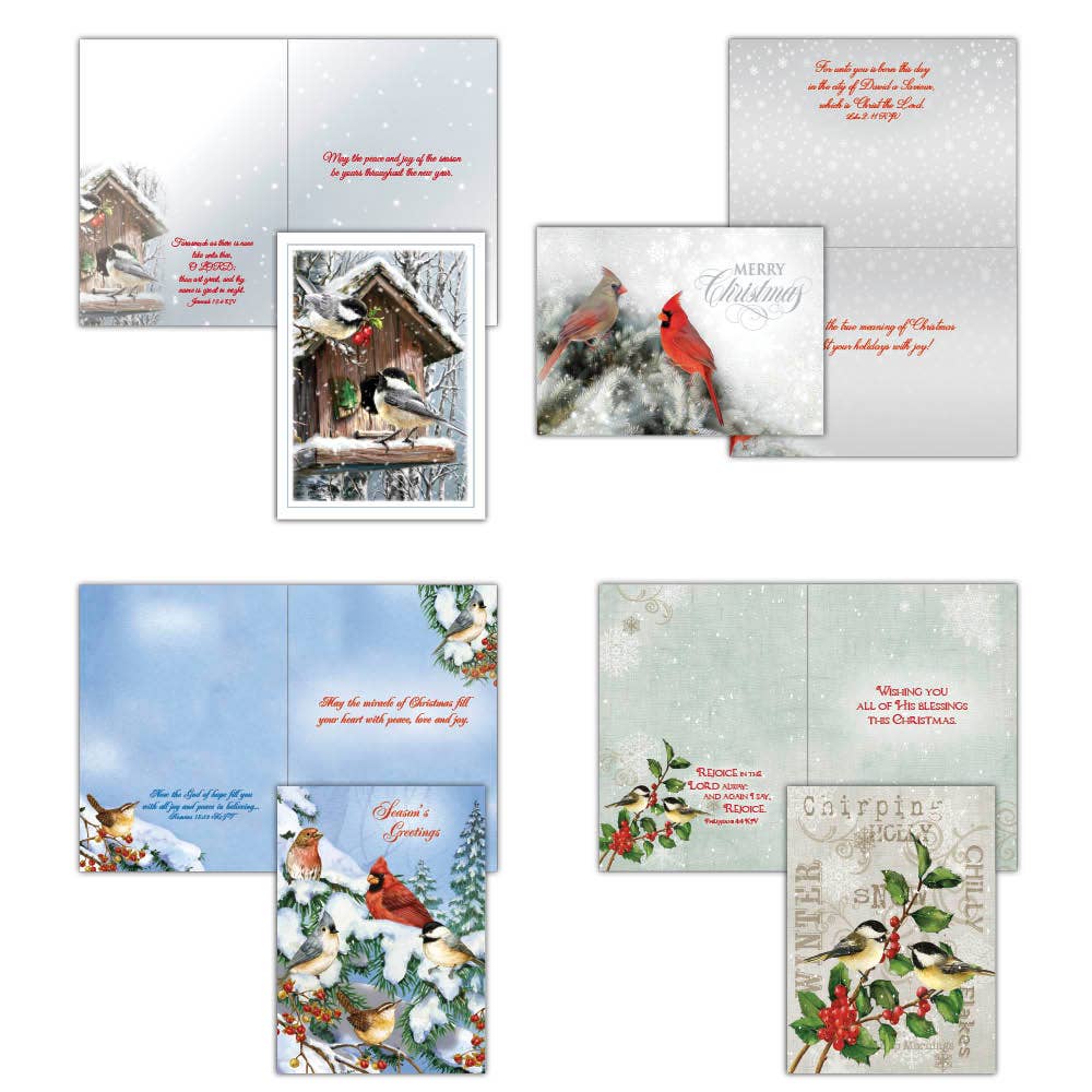 Crown Point Graphics - Winter Birds II   - Variety Assortment Cards, Box of 12