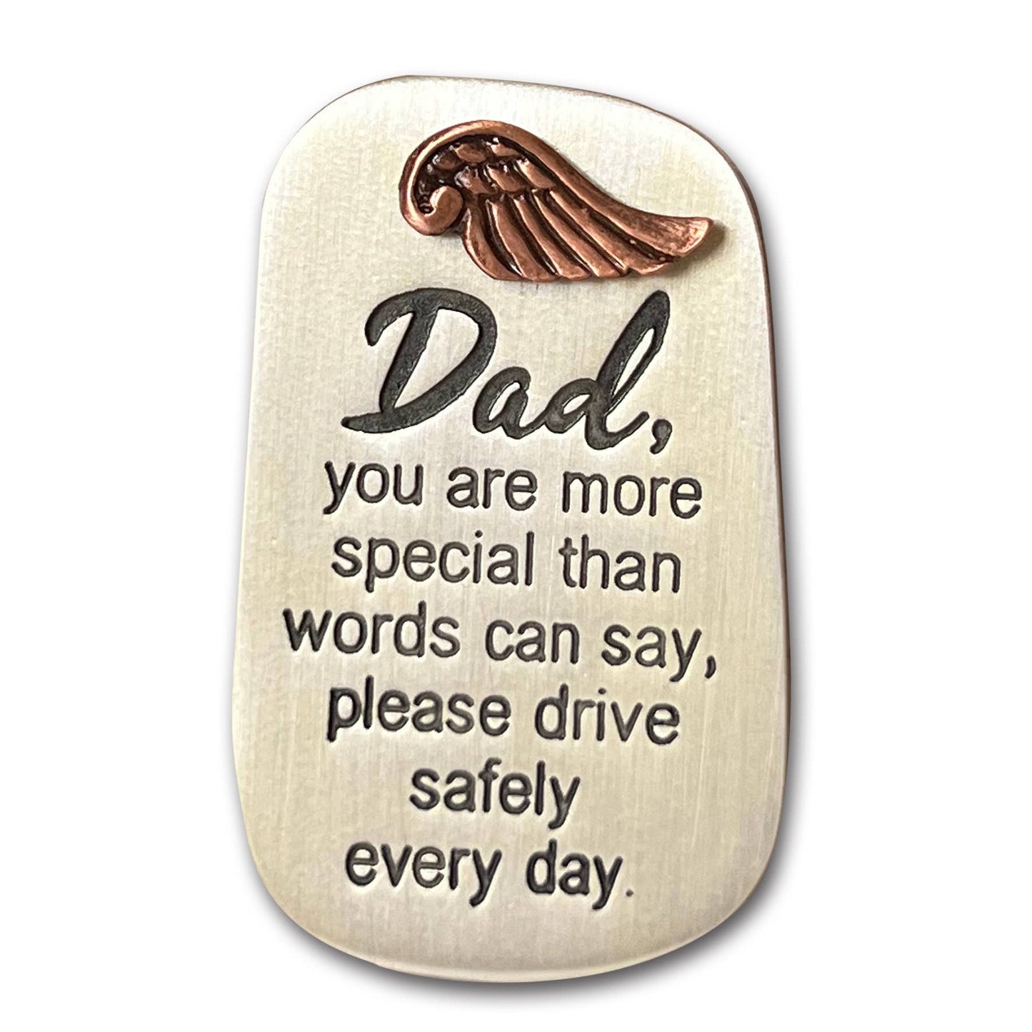 Abbey + CA Gift - Visor Clips For Him