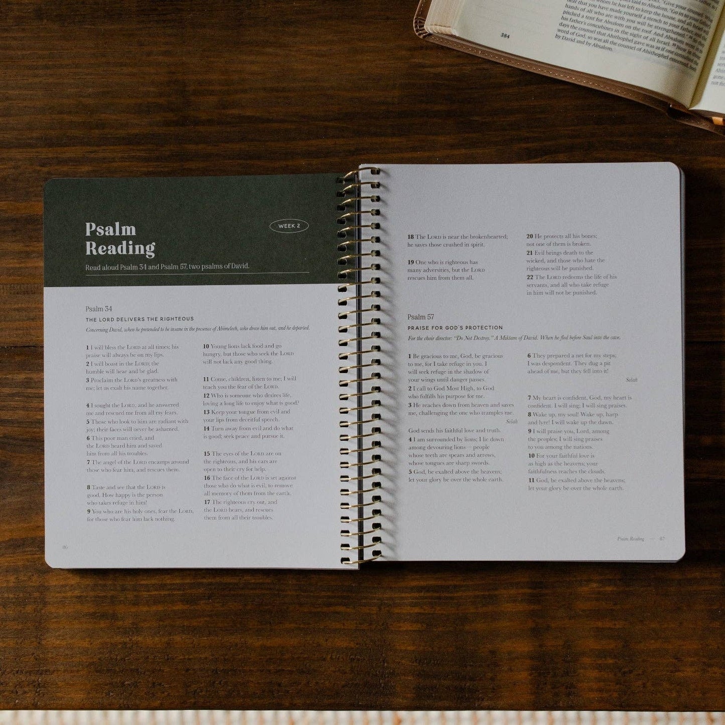 The Daily Grace Co - Peaks and Valleys: Learning to Look to Christ in Life's Highs and Lows | A Study on the Life of David - Men