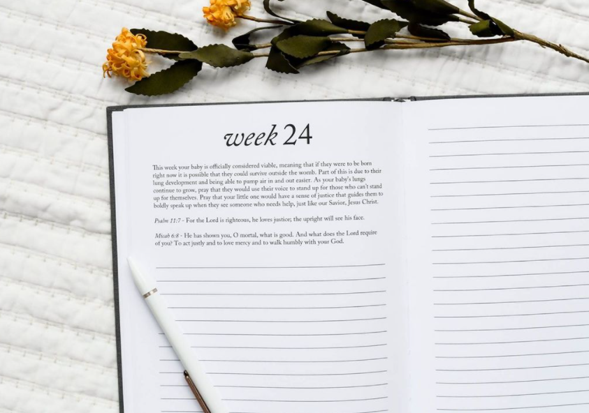Duncan & Stone Paper Co. - Dear Baby: A Pregnancy Prayer Journal & Memory Book for Moms