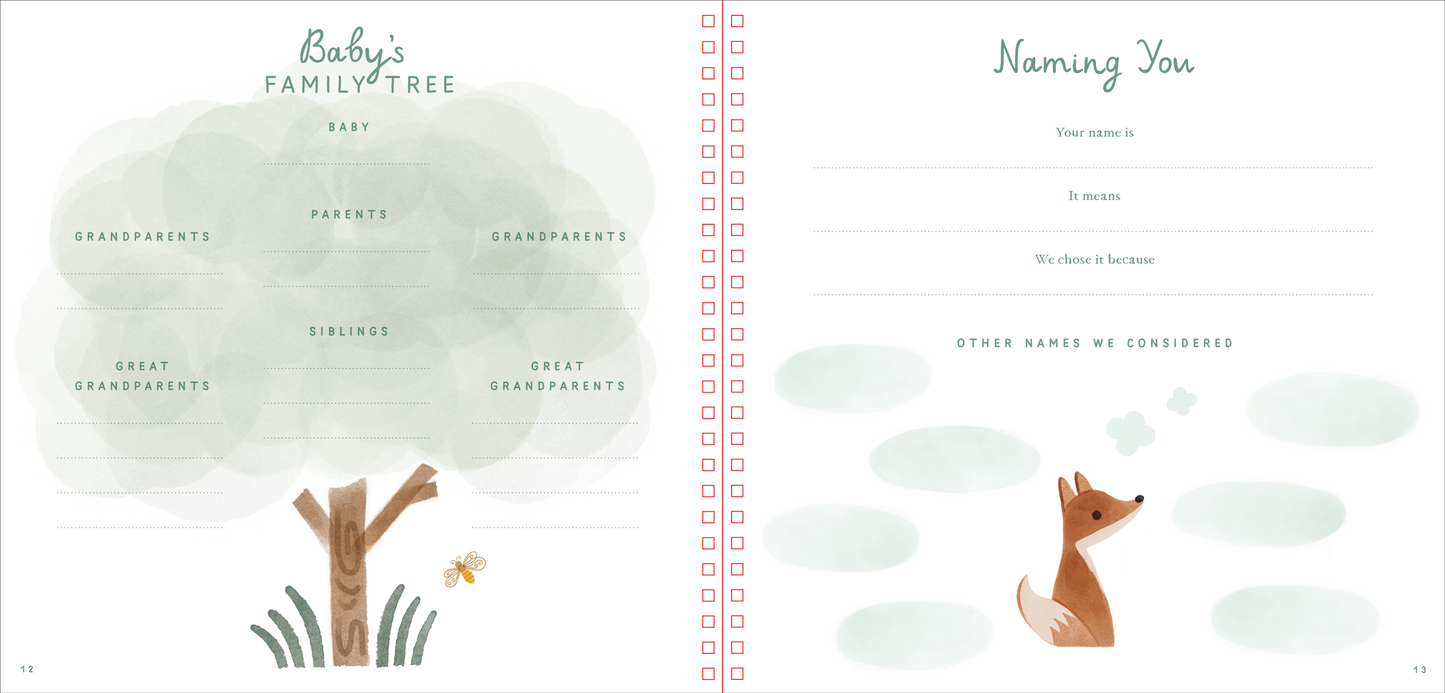 Peter Pauper Press - Baby's First Years: A Modern Memory Book with Keepsake Box