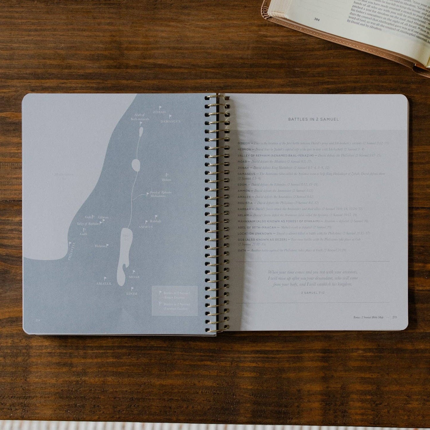 The Daily Grace Co - Peaks and Valleys: Learning to Look to Christ in Life's Highs and Lows | A Study on the Life of David - Men