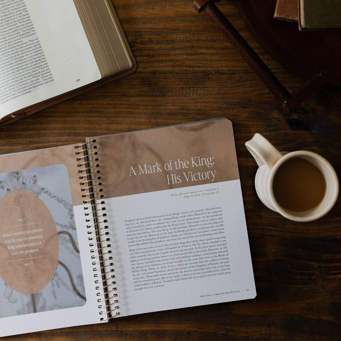 The Daily Grace Co - Peaks and Valleys: Learning to Look to Christ in Life's Highs and Lows | A Study on the Life of David