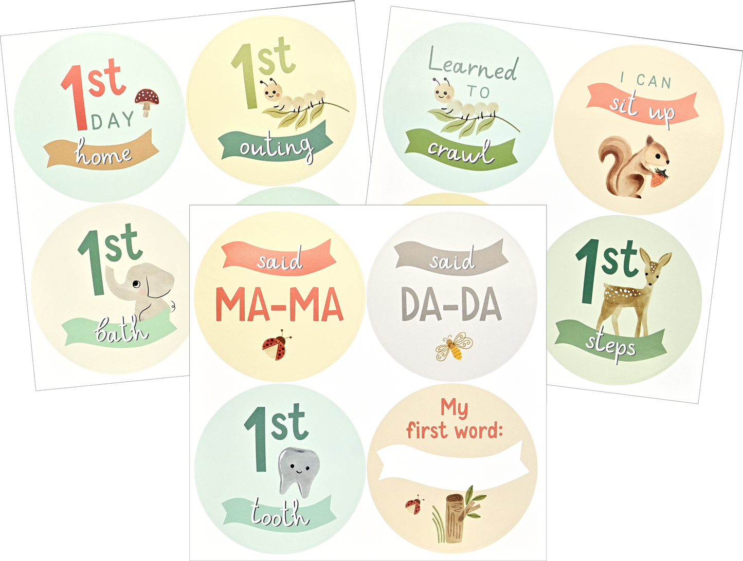Peter Pauper Press - Baby's First Years: A Modern Memory Book with Keepsake Box