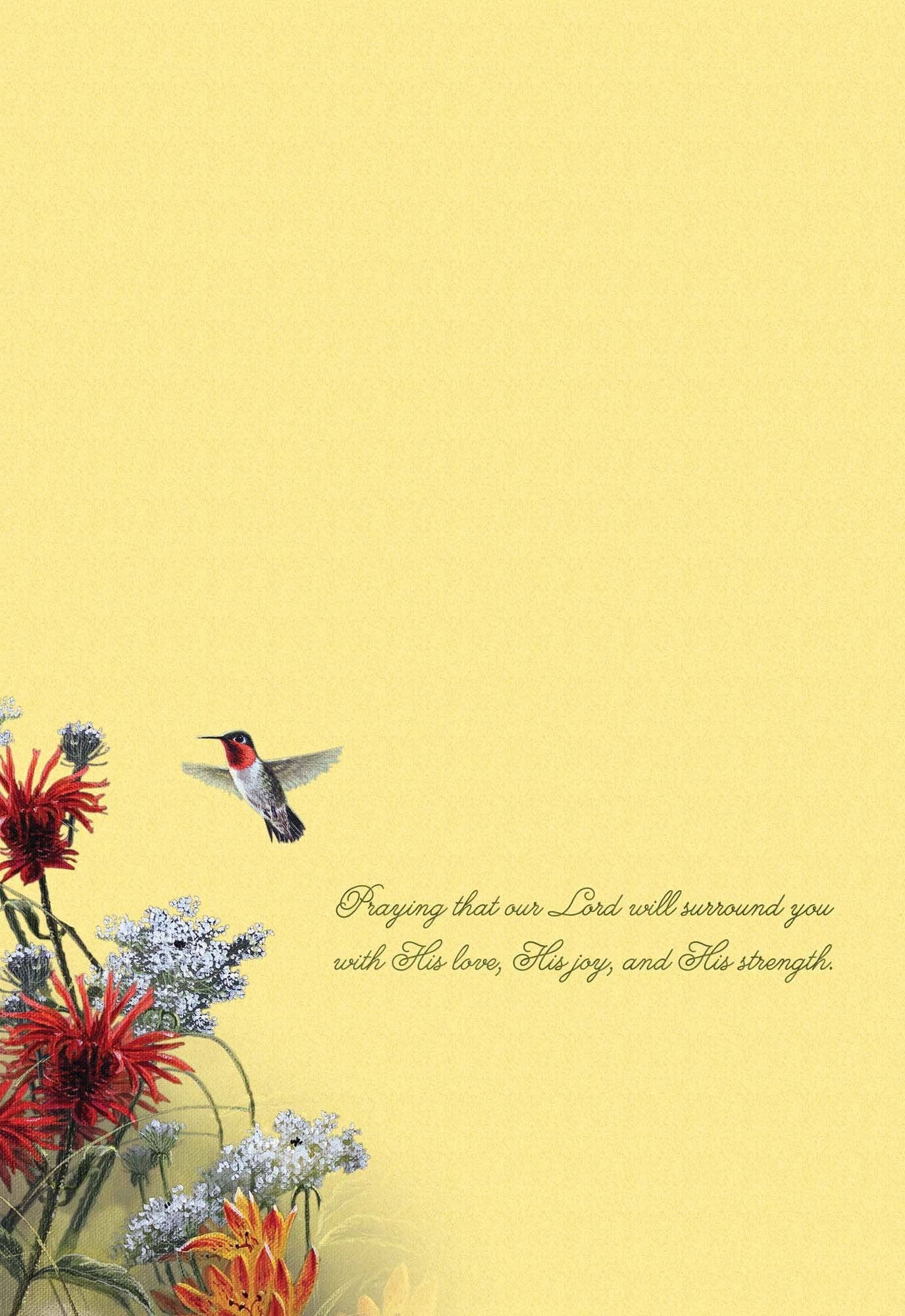 Crown Point Graphics - Hummingbirds - Box of 12 Assorted Encouragement Cards by Shared Blessings