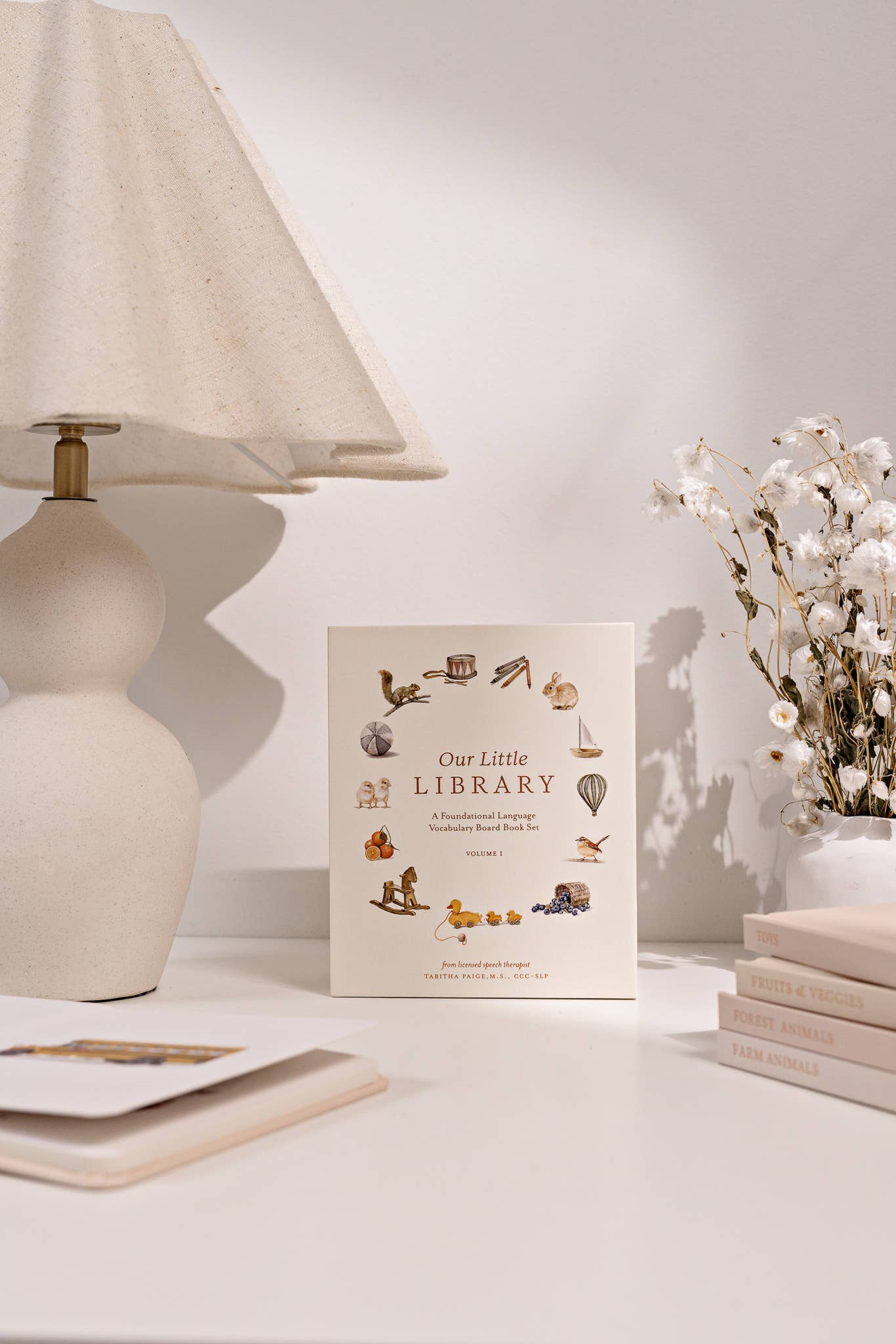 Paige Tate & Co. - Our Little Library Vol. 1 (5 Board Book Box Set)