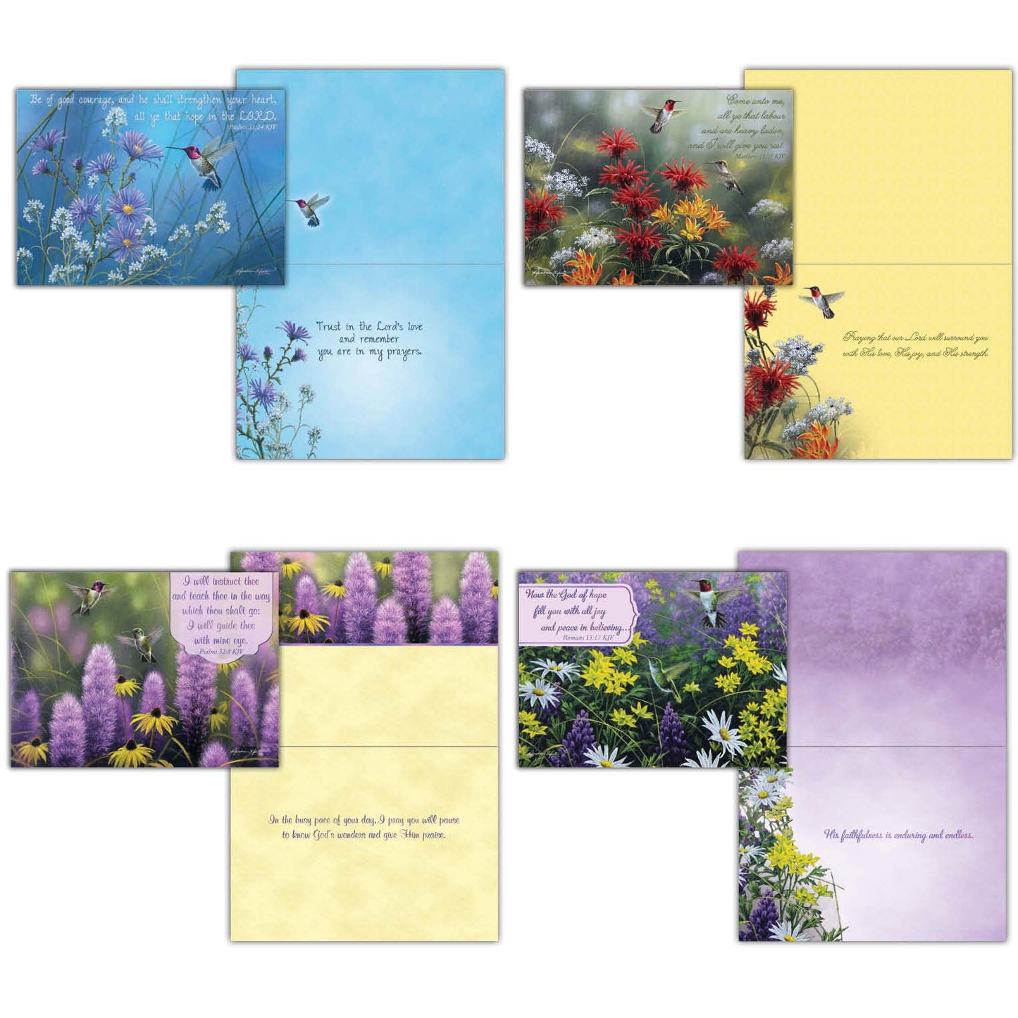 Crown Point Graphics - Hummingbirds - Box of 12 Assorted Encouragement Cards by Shared Blessings