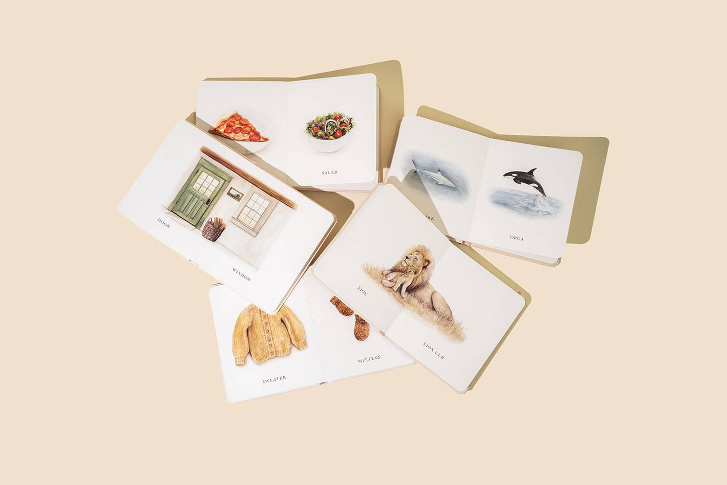 Paige Tate & Co. - Our Little Library Vol. 2 (5 Board Book Box Set)