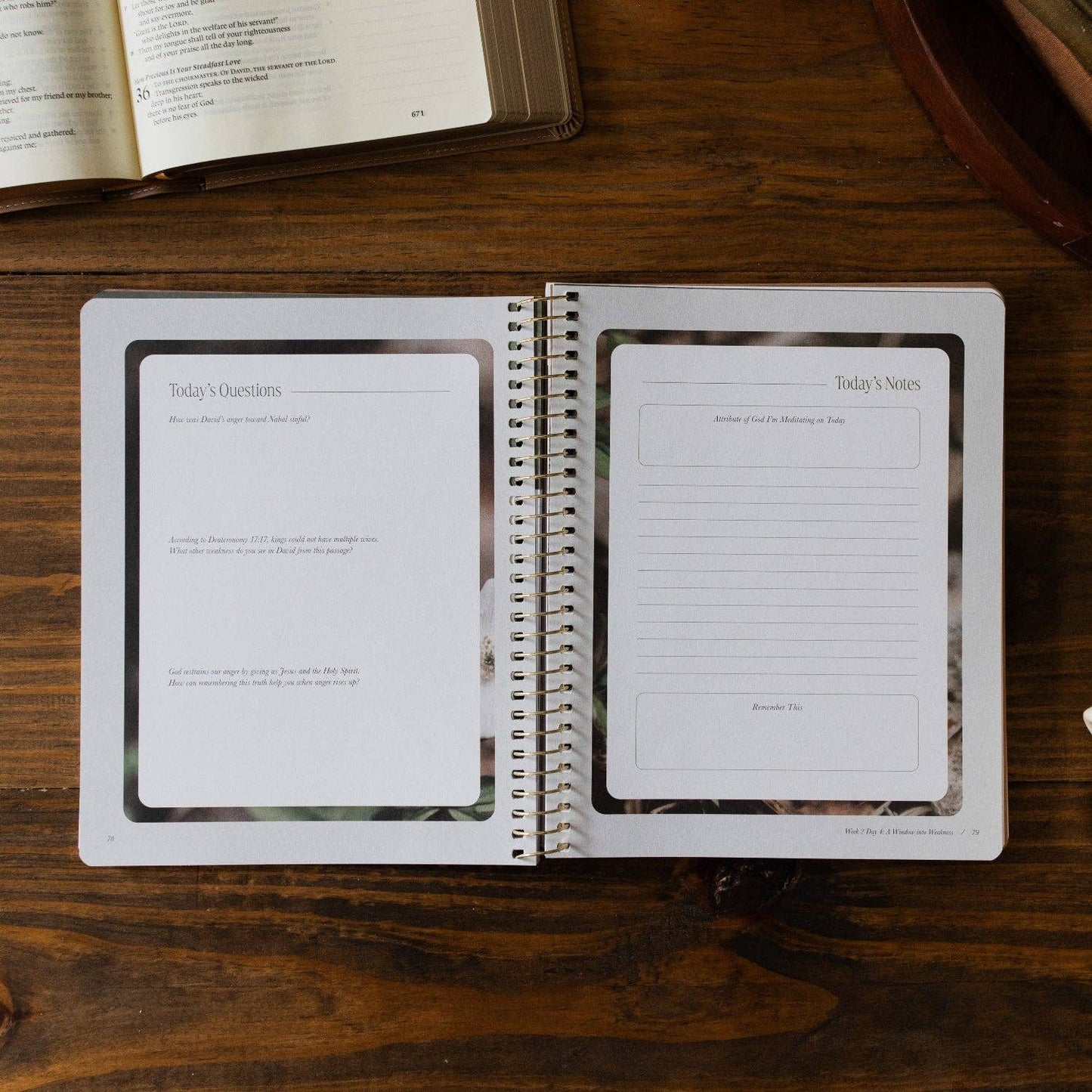 The Daily Grace Co - Peaks and Valleys: Learning to Look to Christ in Life's Highs and Lows | A Study on the Life of David