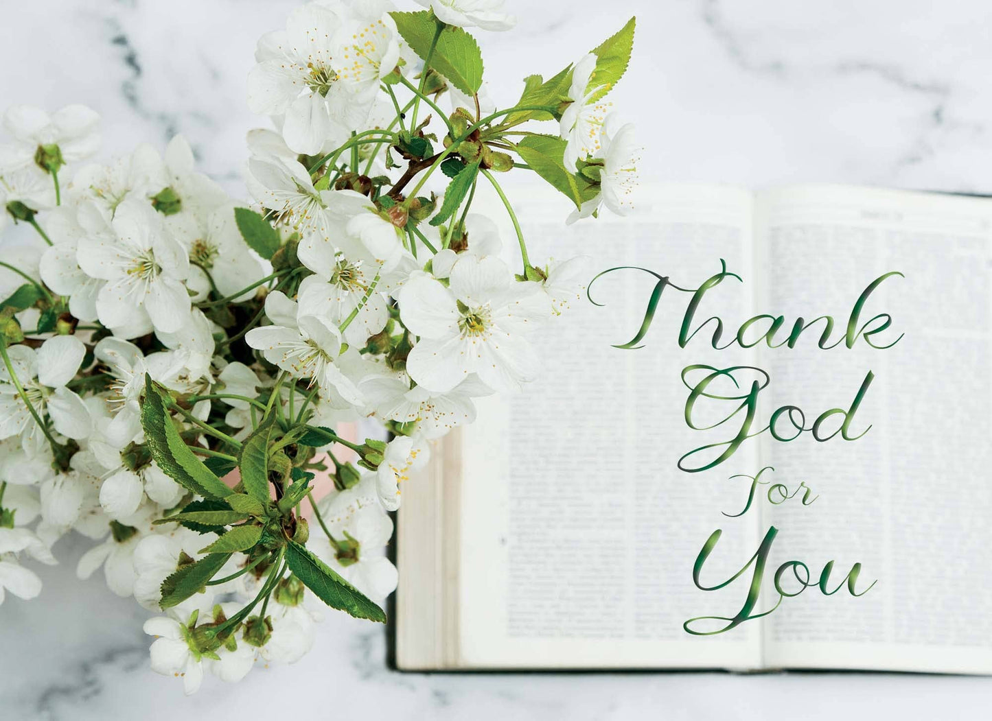 Crown Point Graphics - Bibles and Flowers, Box of 12 Assorted Birthday Cards by Shared Blessings