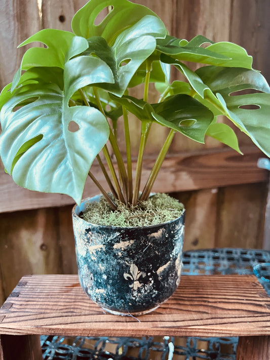 Teannscorner- Black fleur de lis Artificial plants $10