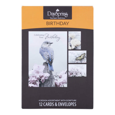 Boxed Cards: Celebrate Birthday