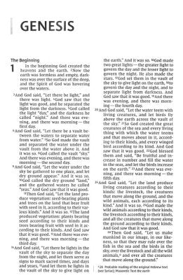 NIV Value Thinline Bible Large Print Pink, Imitation Leather