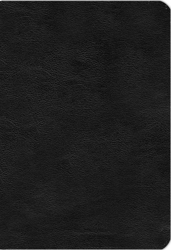 KJV Large-Print Life Application Study Bible, Third Edition--bonded leather, black