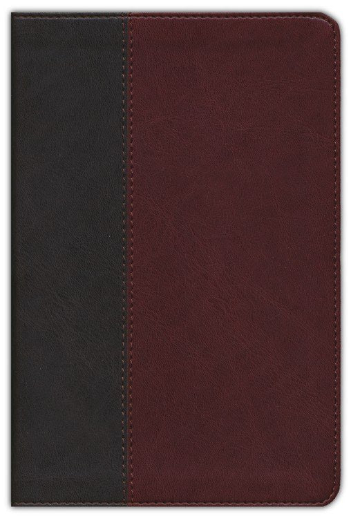 NLT Life Application Personal-Size Study Bible, Third Edition--soft leather-look, brown/tan