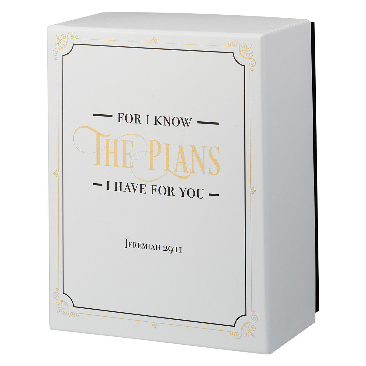 I Know the Plans Journal and Mug Boxed Gift Set