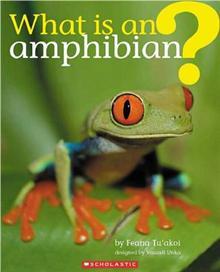 What Is An Amphibian?