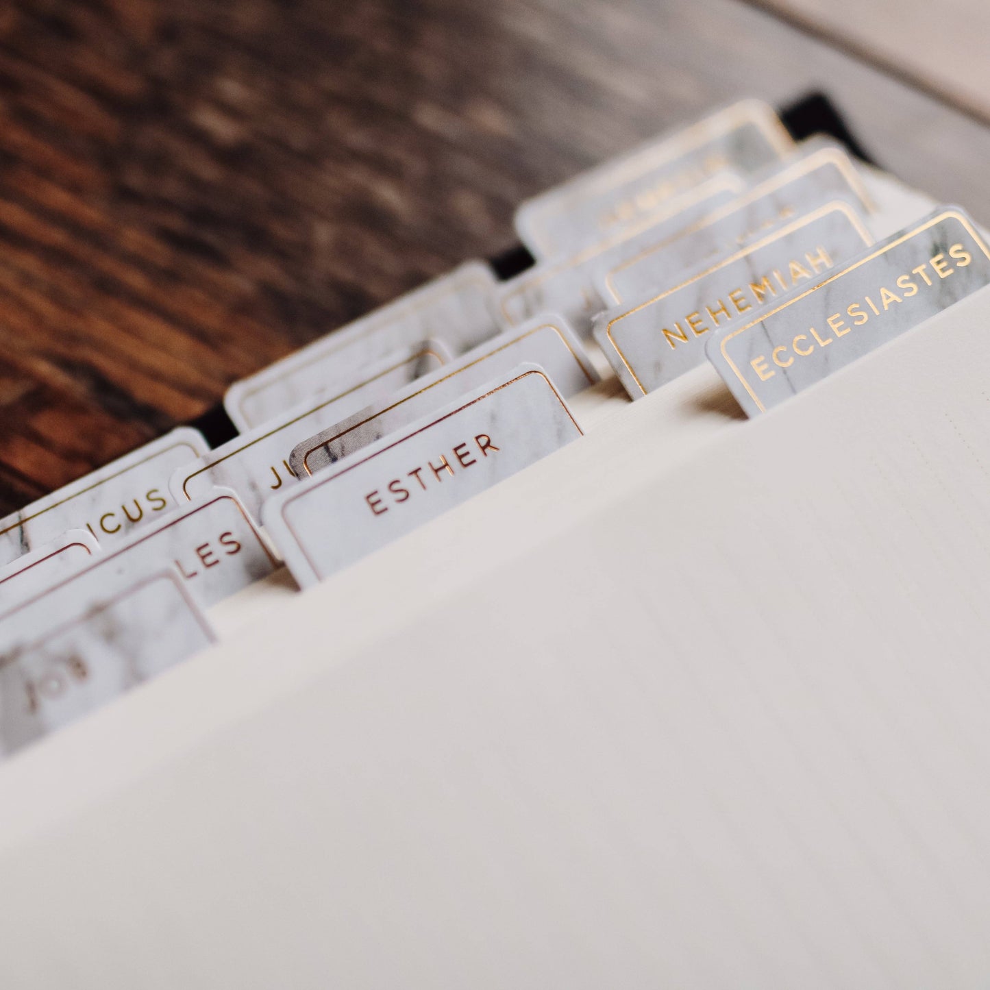 The Daily Grace Co - Marble Bible Tabs
